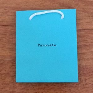 Tiffany & Co Classic Shopping Bag - Size Small